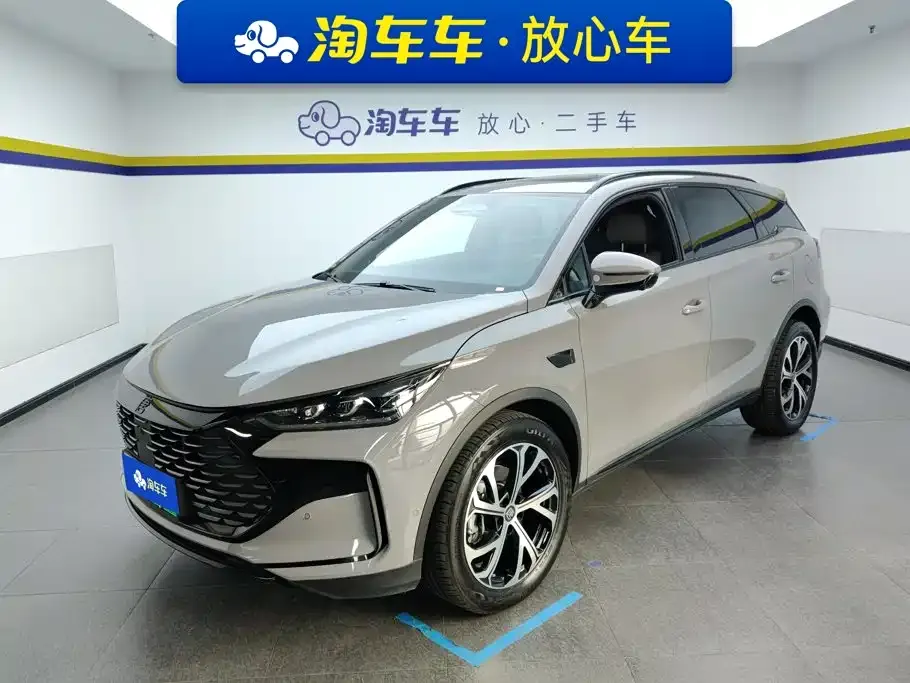 BYD Tang New Energy — фото 1