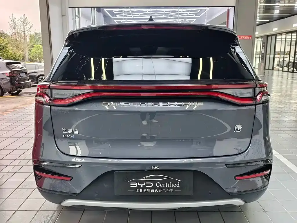 BYD Tang New Energy — фото 10