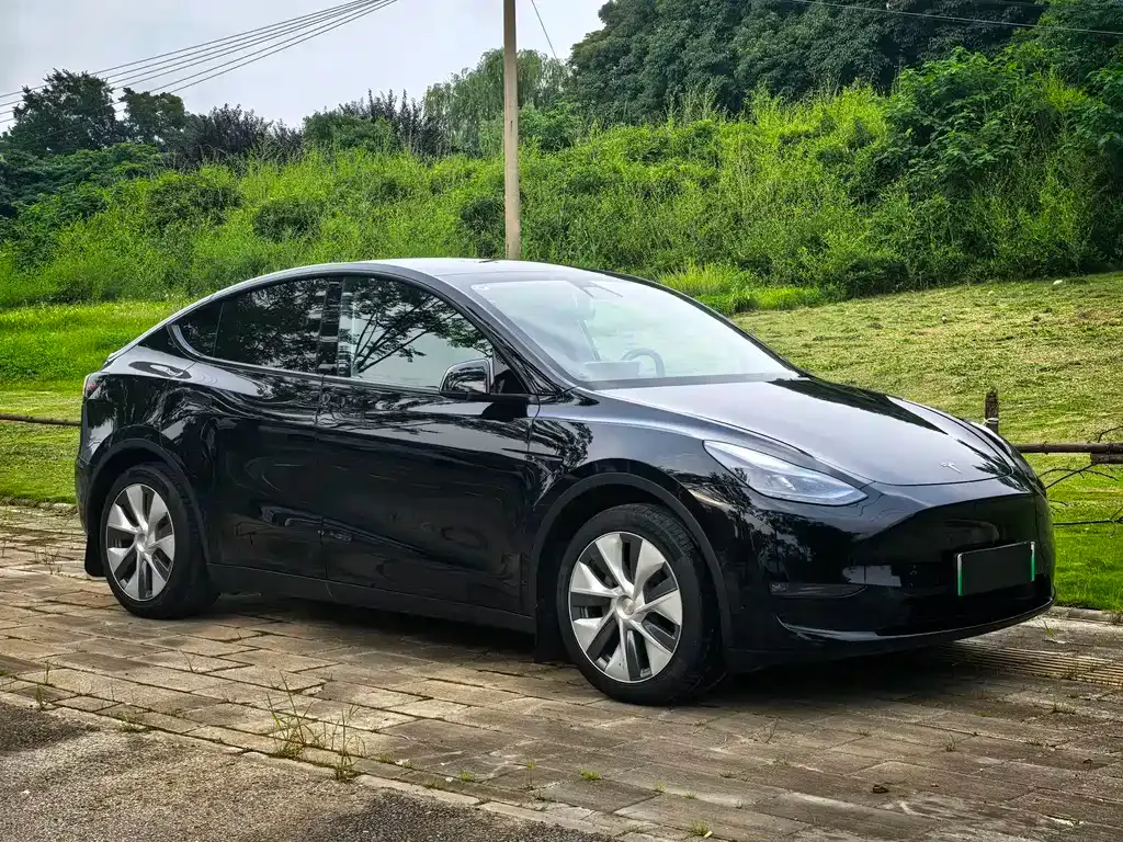 Tesla Model Y — фото 1