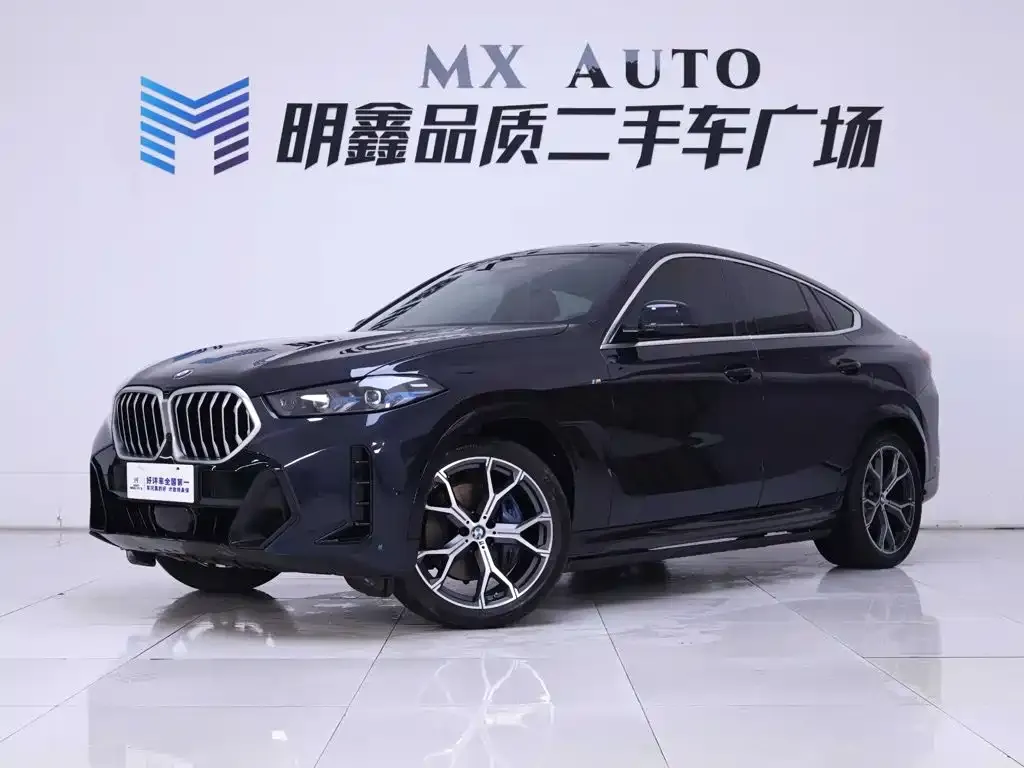 BMW X6 — фото 2