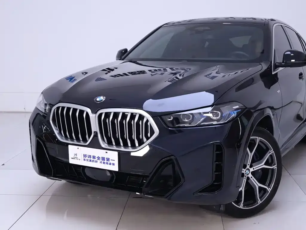 BMW X6 — фото 3
