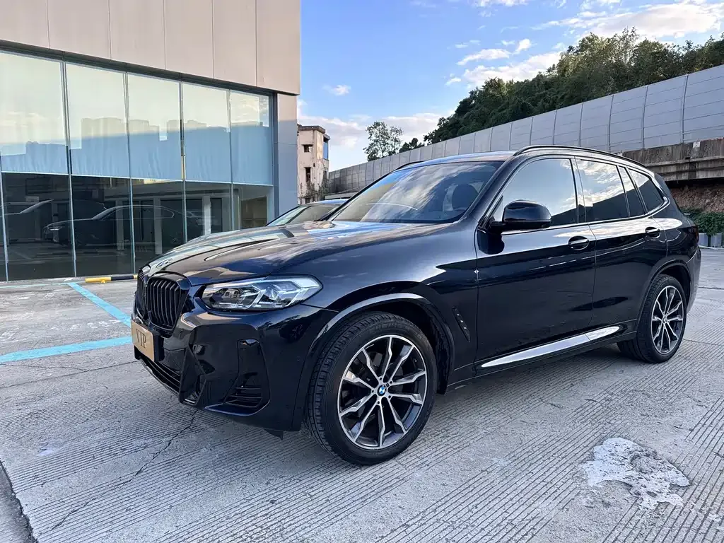 BMW X3 — фото 1
