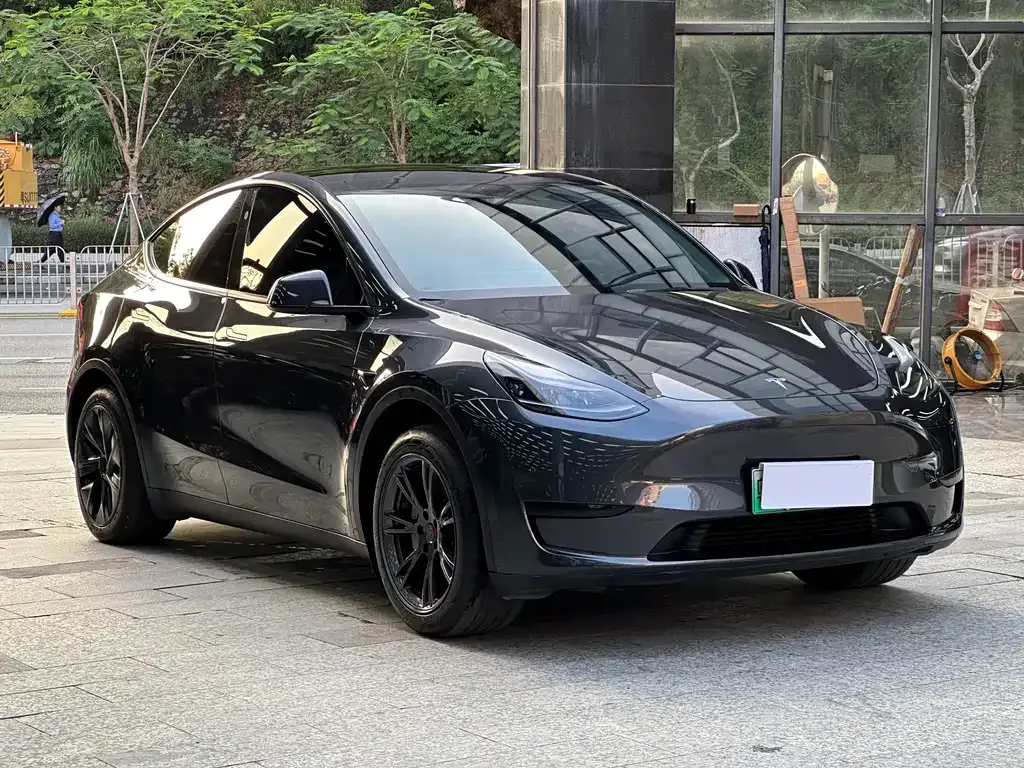 Tesla Model Y — фото 9