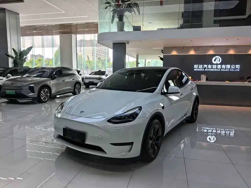 Tesla Model Y — фото 1