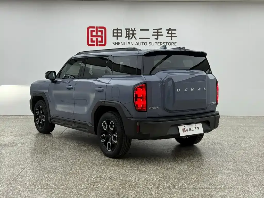 Haval Cool Dog — фото 10
