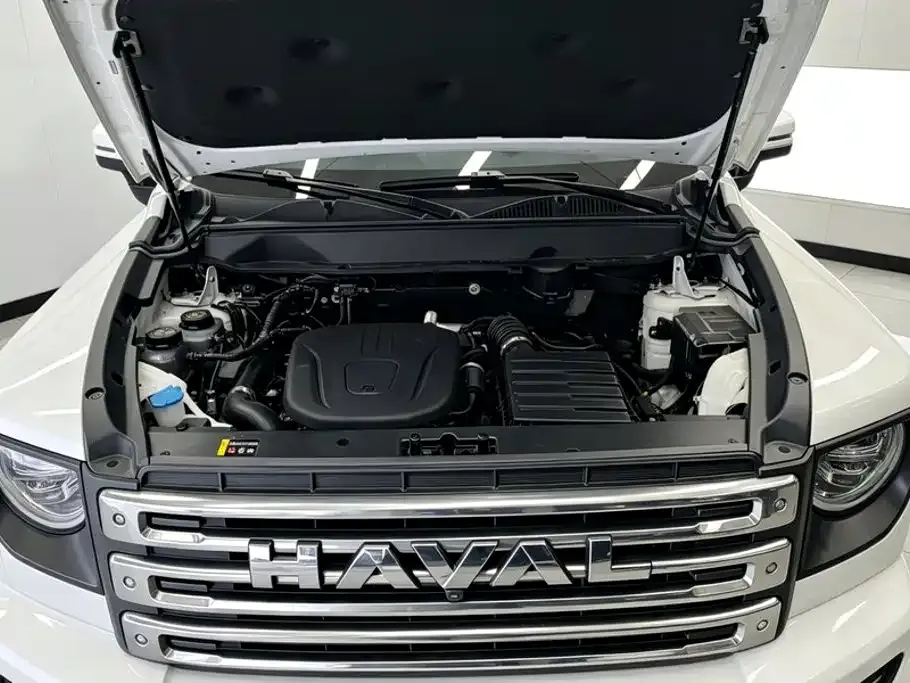 Haval Menglong New Energy — фото 10