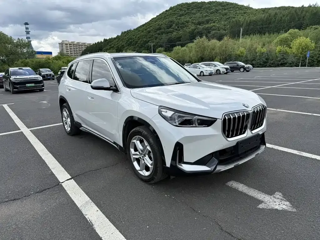 BMW X1 — фото 10