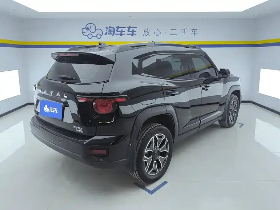 Haval Big Dog PLUS New Energy — фото 2
