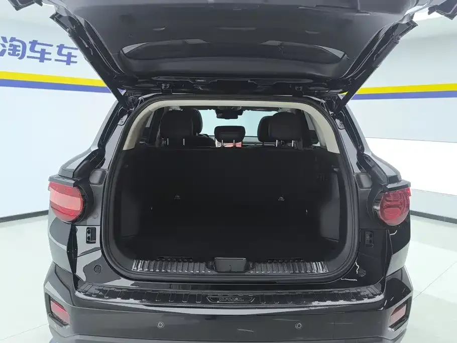 Haval Big Dog PLUS New Energy — фото 6
