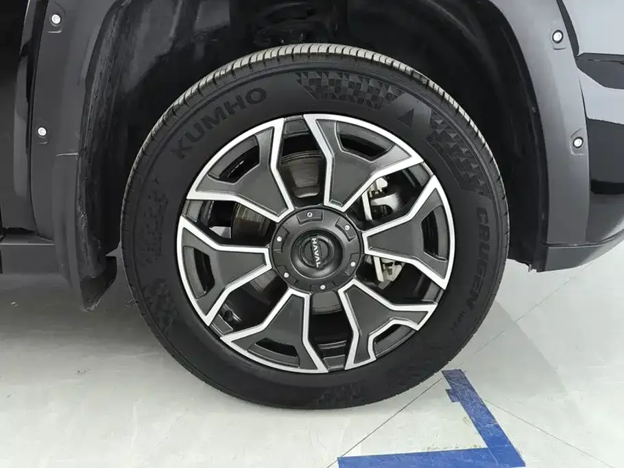 Haval Big Dog PLUS New Energy — фото 7