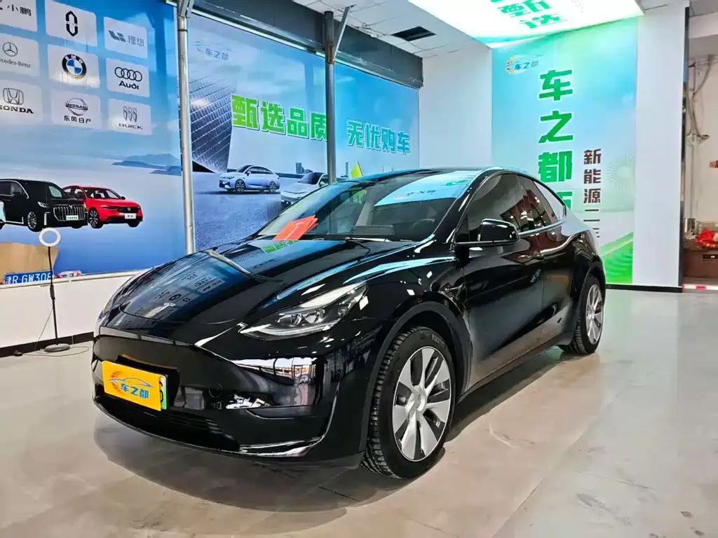 Tesla Model Y — фото 1