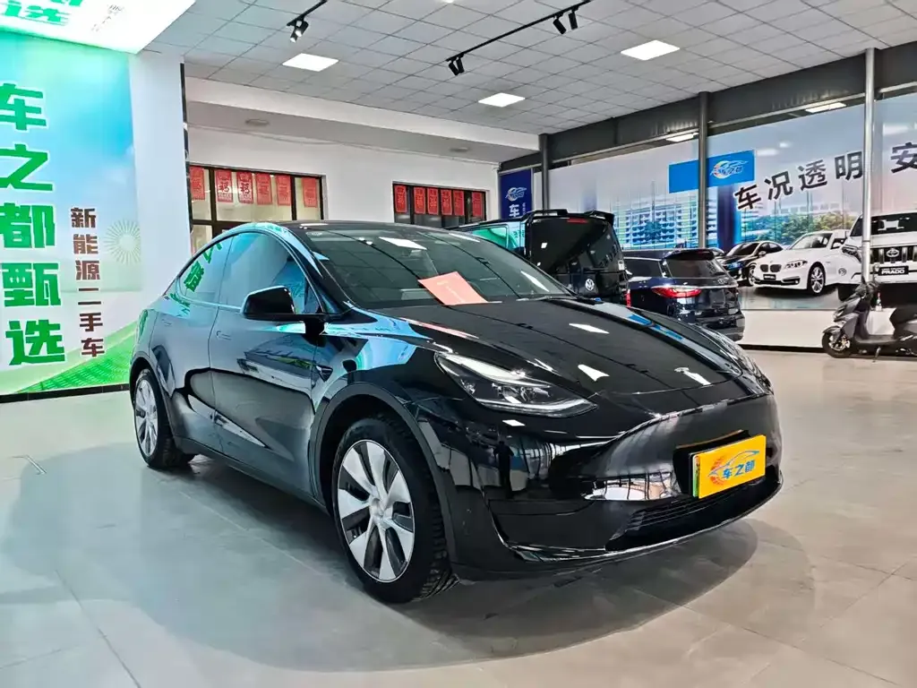 Tesla Model Y — фото 7