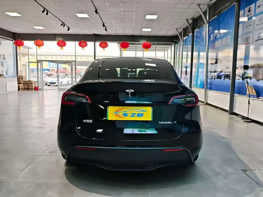 Tesla Model Y — фото 6