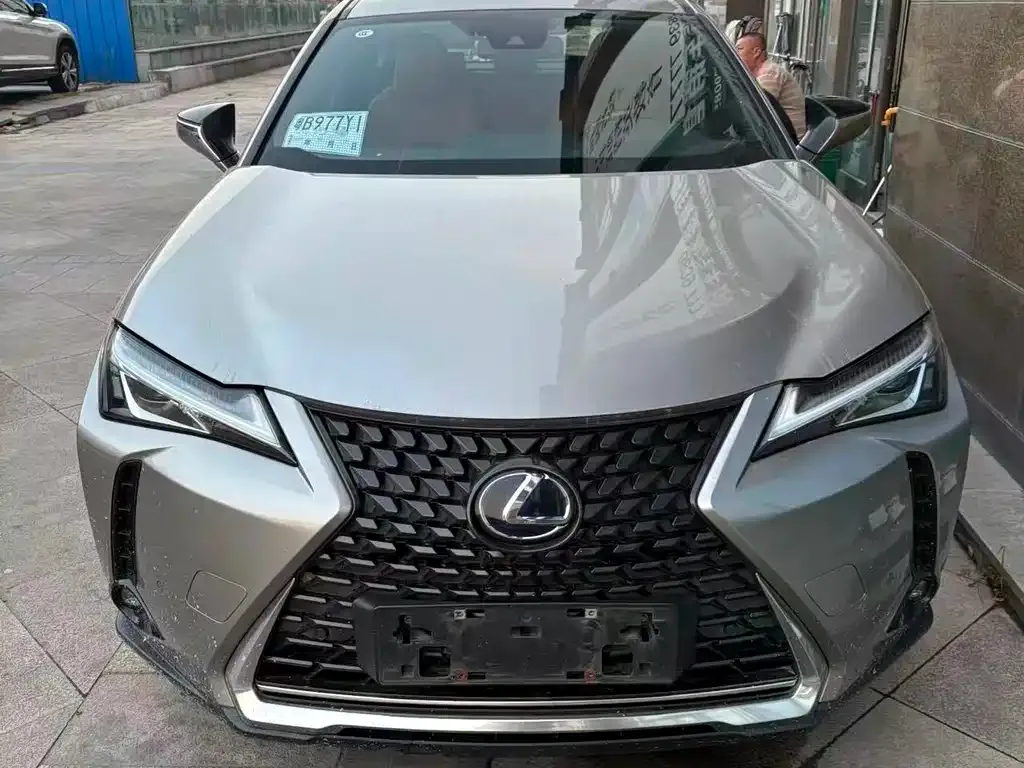 Lexus UX New Energy — фото 6