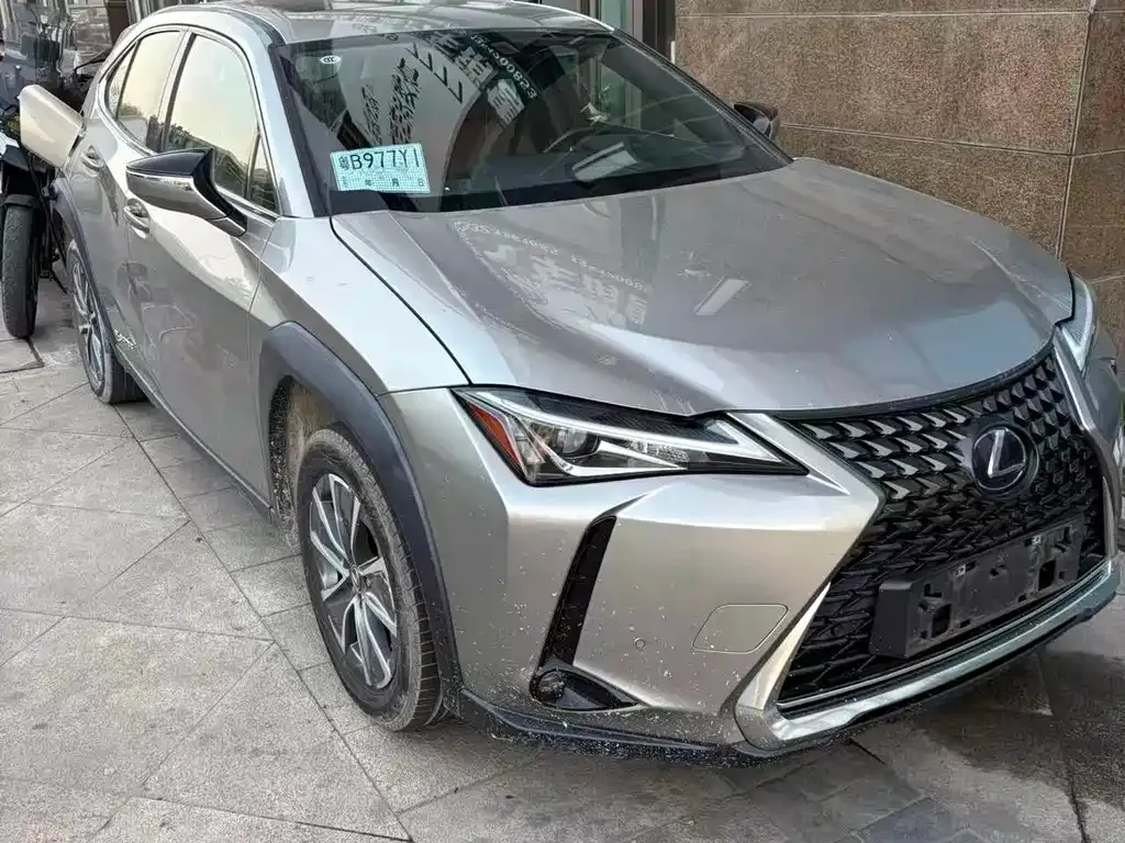 Lexus UX New Energy — фото 8