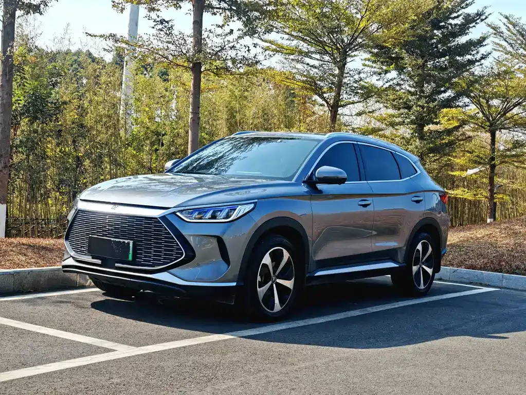 BYD PLUS New Energy — фото 1