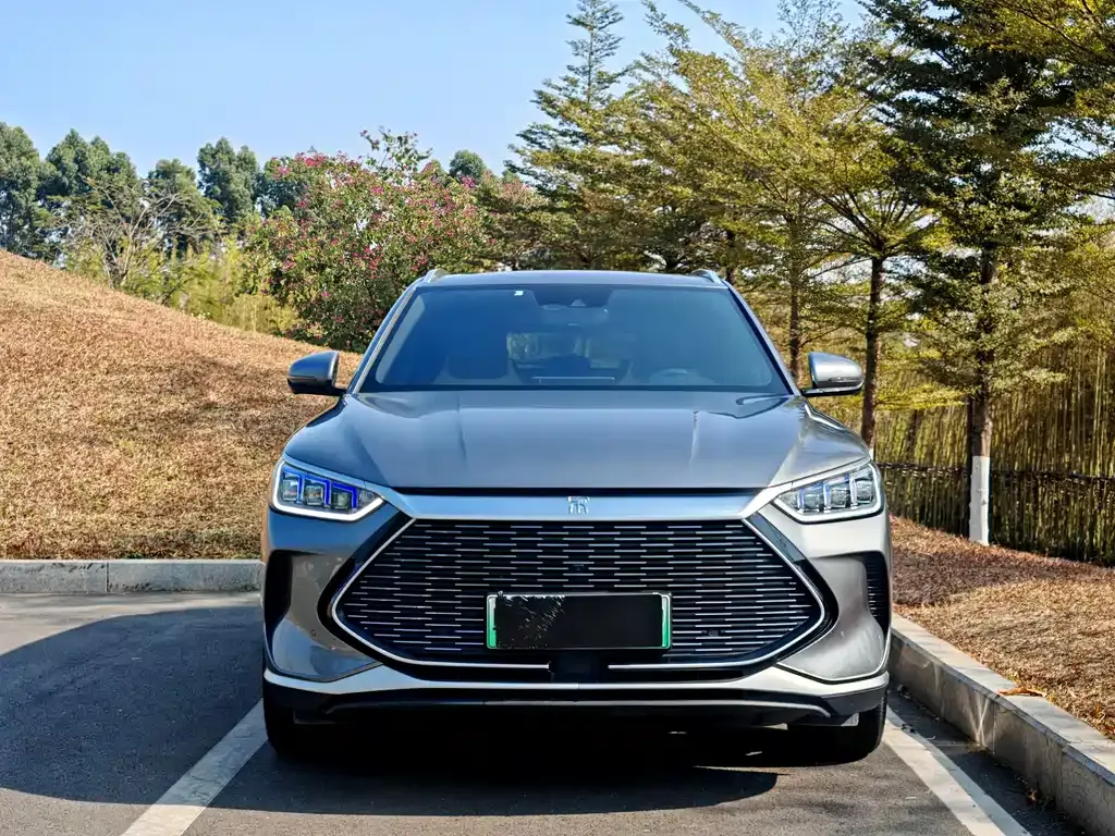 BYD PLUS New Energy — фото 6