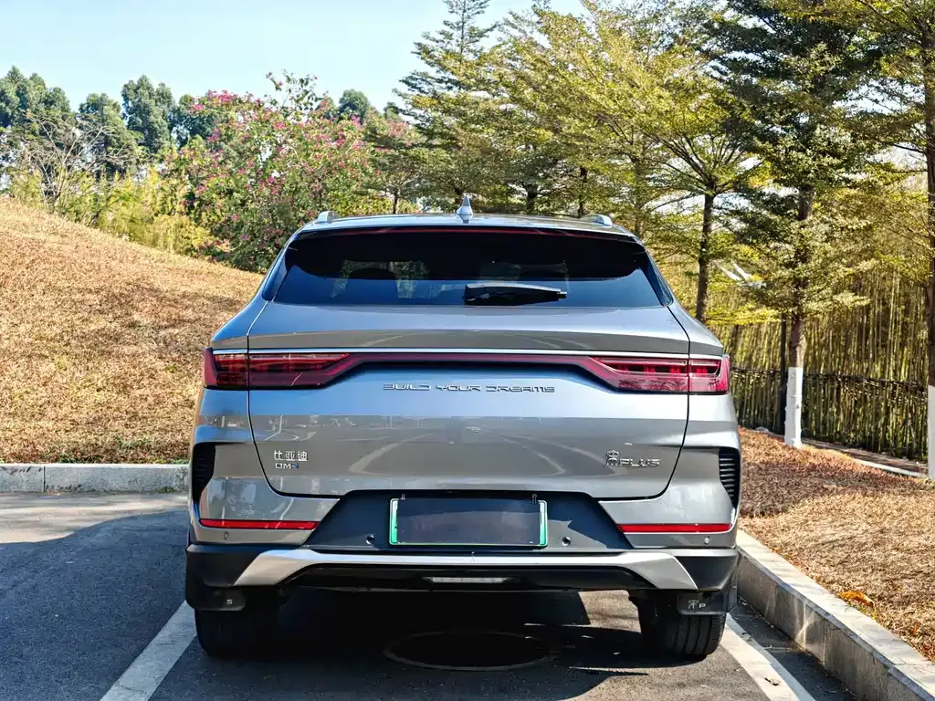 BYD PLUS New Energy — фото 7