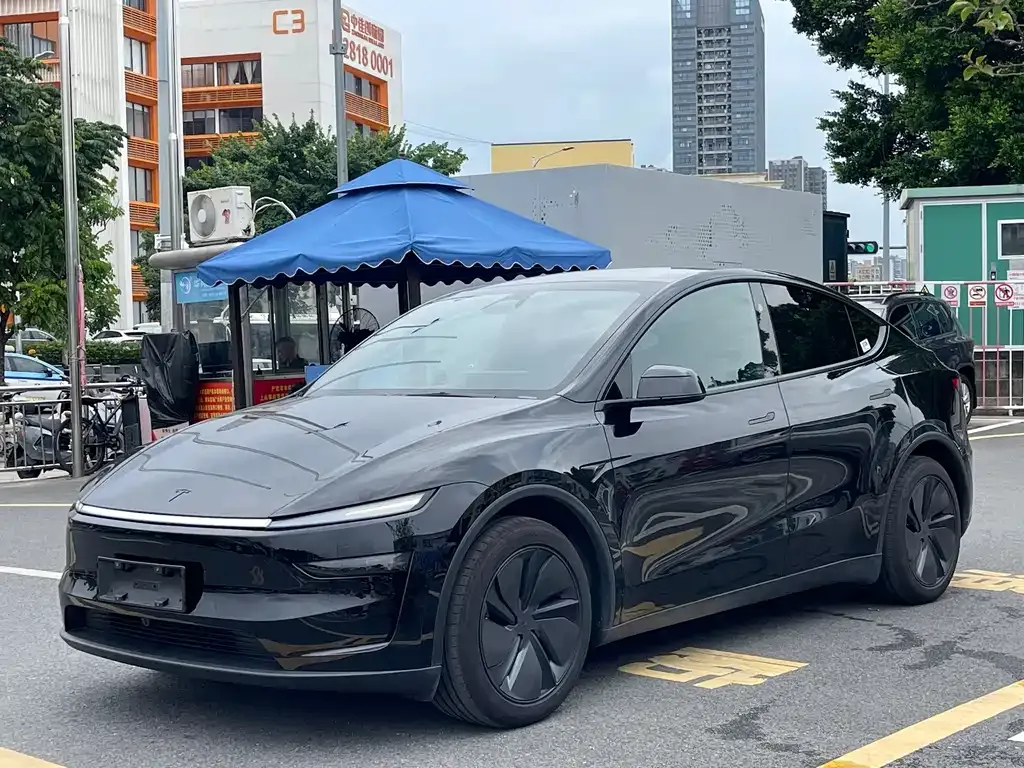 Tesla Model Y — фото 1