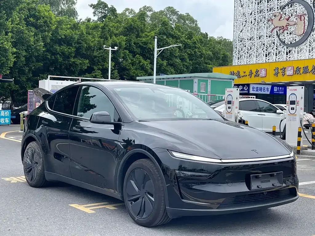 Tesla Model Y — фото 9