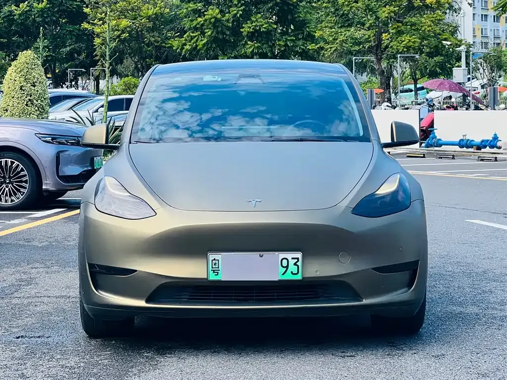 Tesla Model Y — фото 10