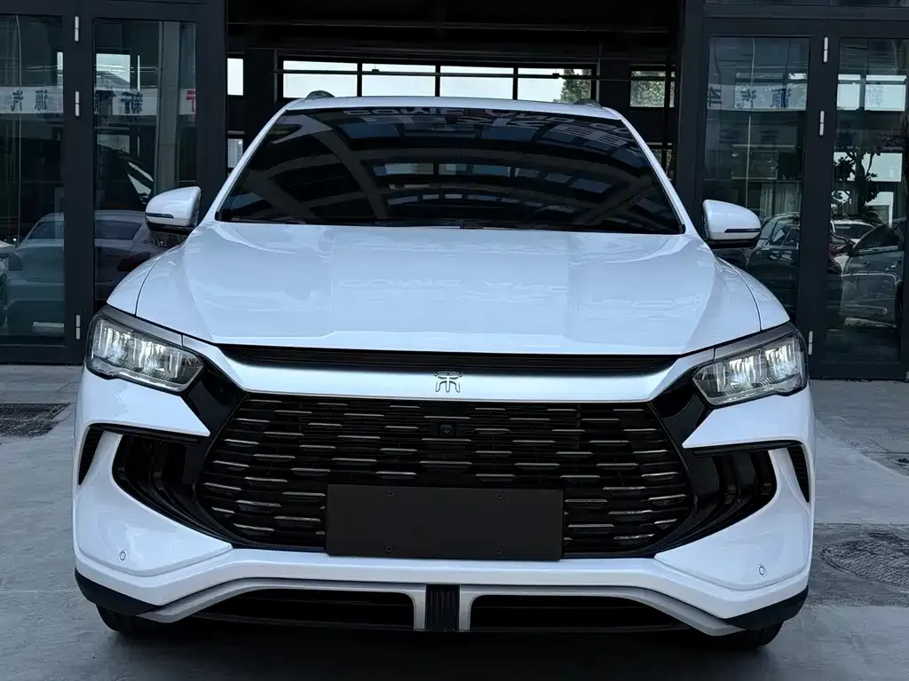 BYD Pro New Energy — фото 1