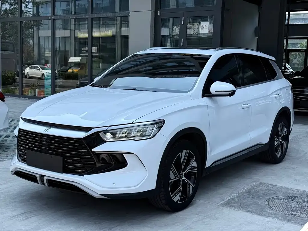 BYD Pro New Energy — фото 6