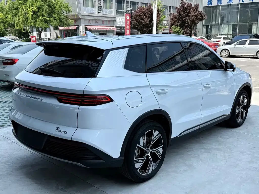 BYD Pro New Energy — фото 9