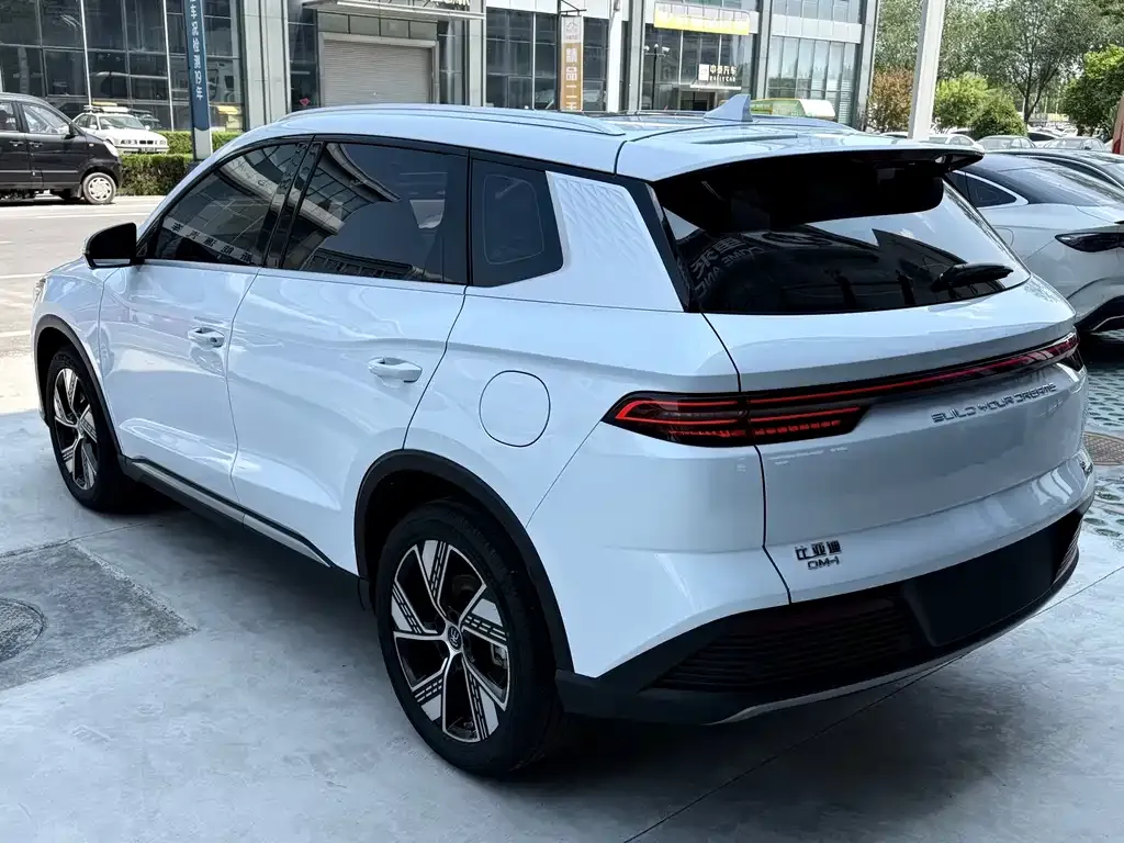BYD Pro New Energy — фото 7