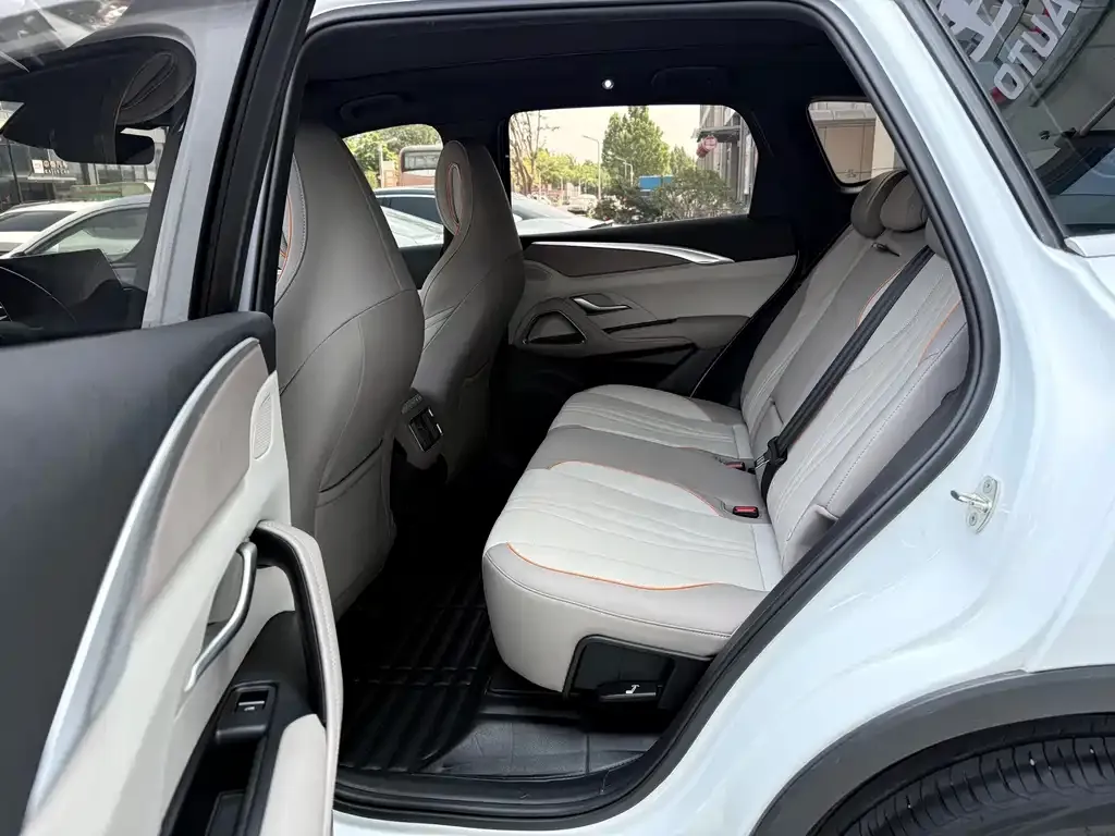 BYD Pro New Energy — фото 10
