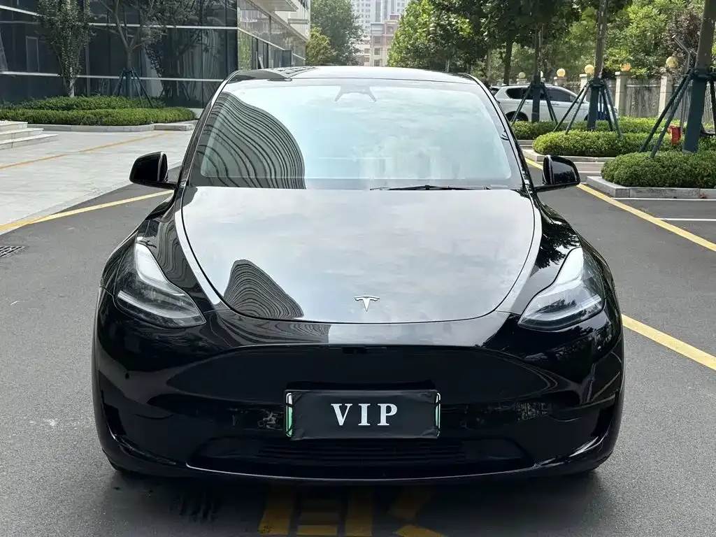 Tesla Model Y — фото 6