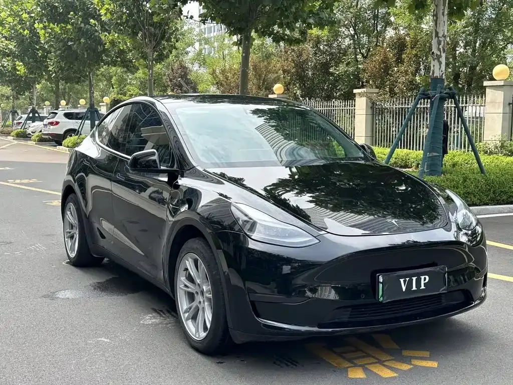 Tesla Model Y — фото 8