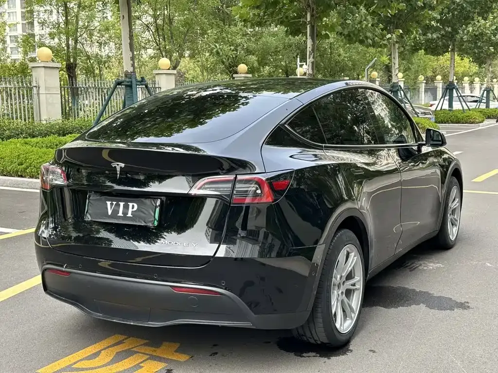 Tesla Model Y — фото 9