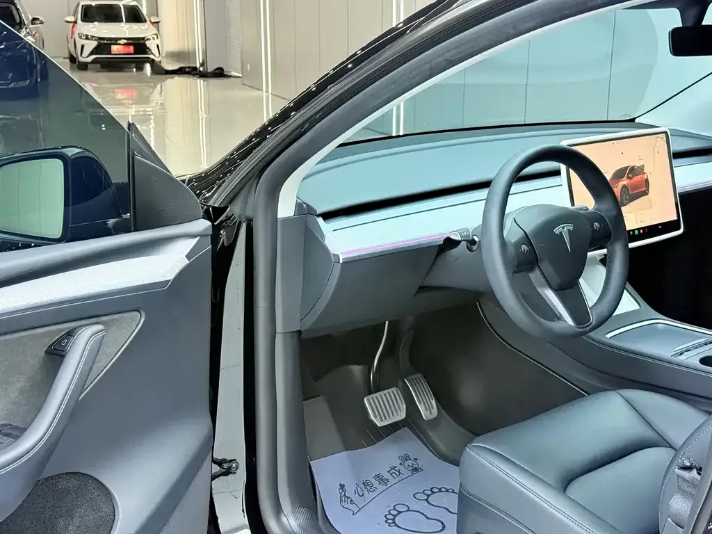 Tesla Model Y — фото 9