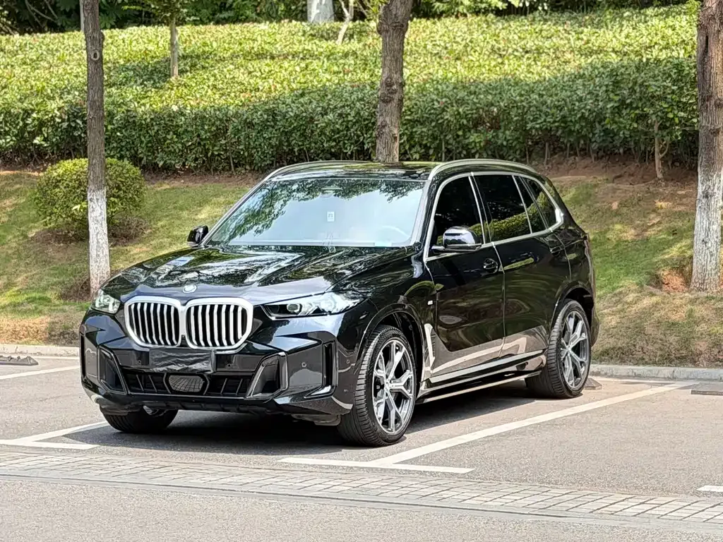 BMW X5 — фото 1