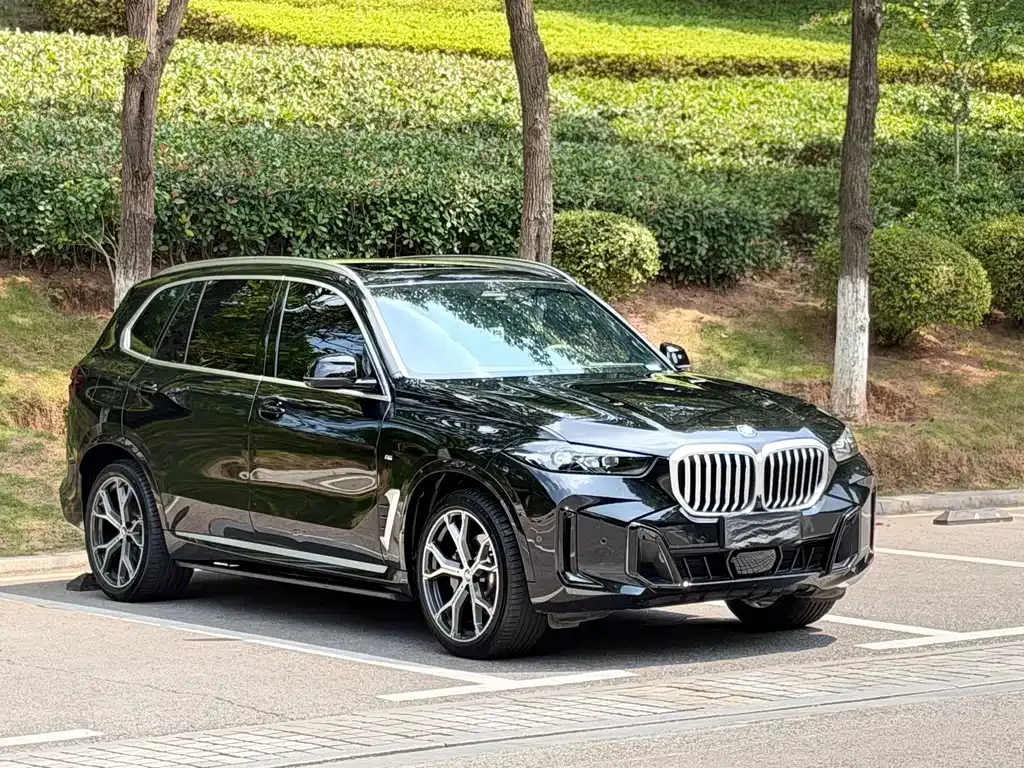 BMW X5 — фото 9