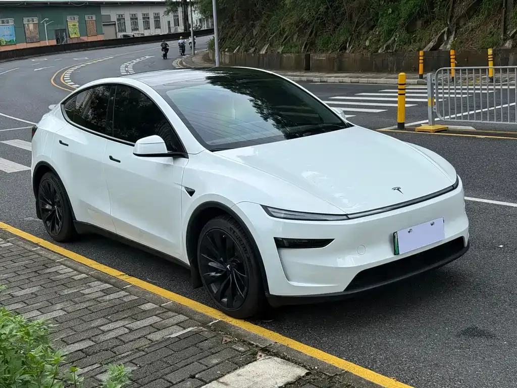 Tesla Model Y — фото 10