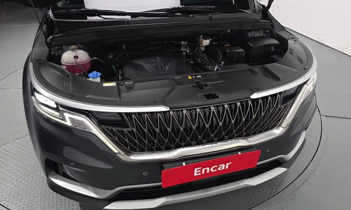 Kia Carnival — фото 10