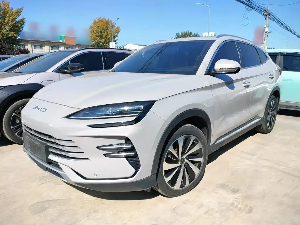 BYD PLUS New Energy — фото 1