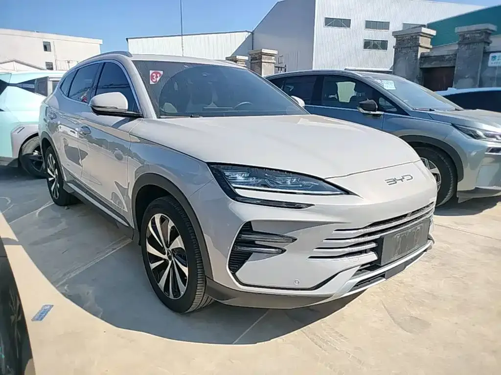 BYD PLUS New Energy — фото 2
