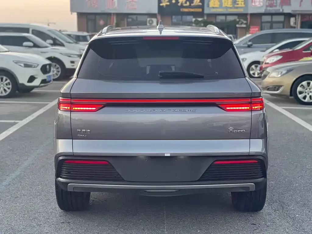 BYD Pro New Energy — фото 4