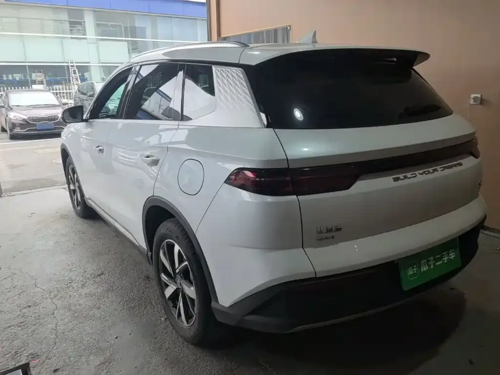 BYD Pro New Energy — фото 4