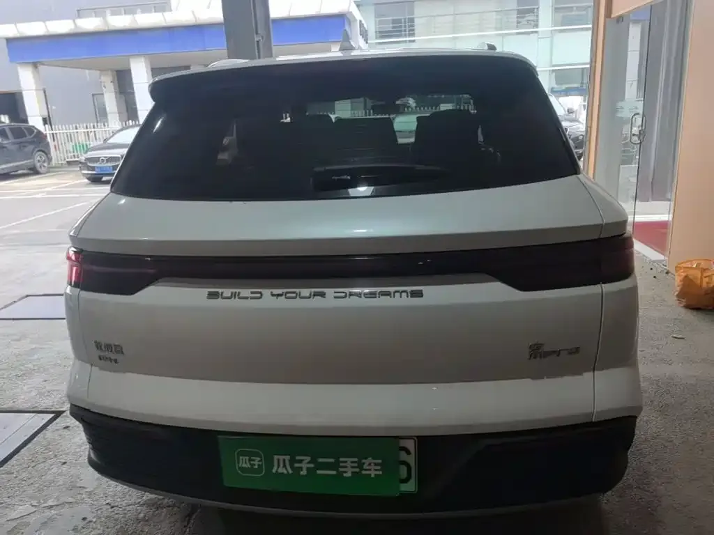 BYD Pro New Energy — фото 6