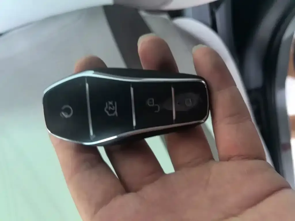 BYD Pro New Energy — фото 3