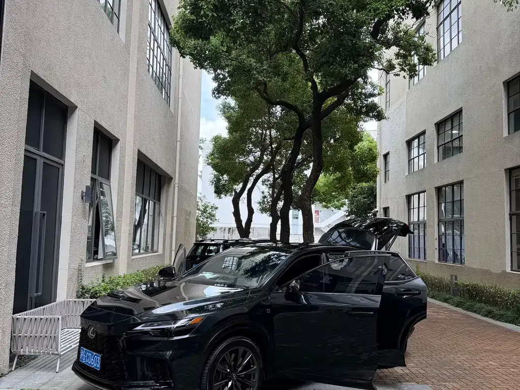 Lexus RX — фото 1