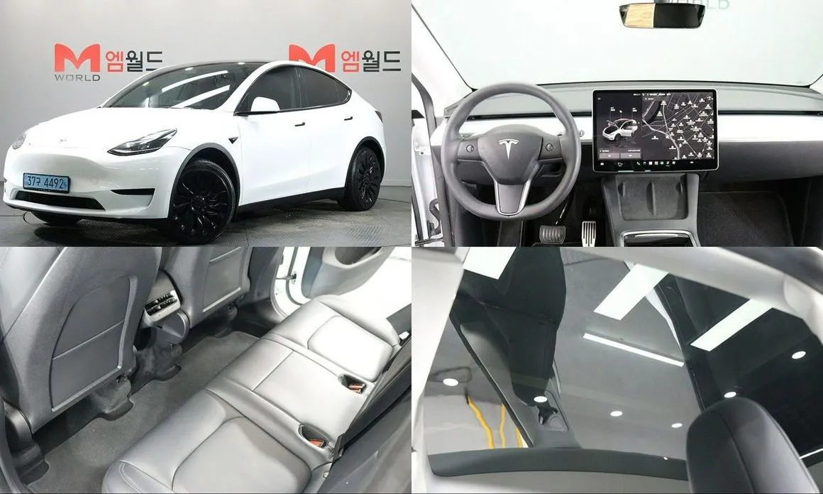 Tesla Model Y — фото 1