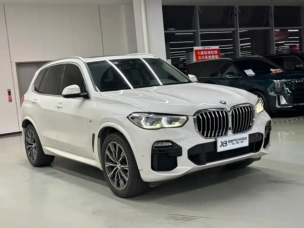 BMW X5 (Import) — фото 10