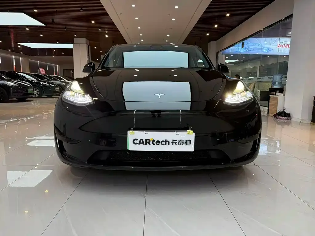 Tesla Model Y — фото 9