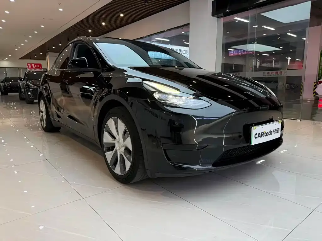 Tesla Model Y — фото 2