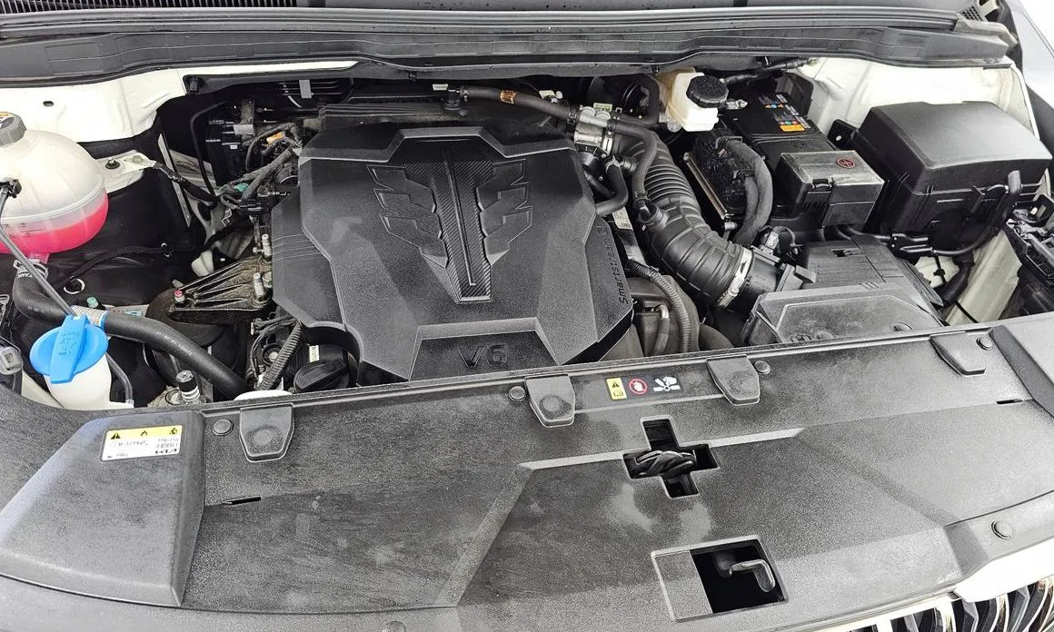 Kia Carnival — фото 10